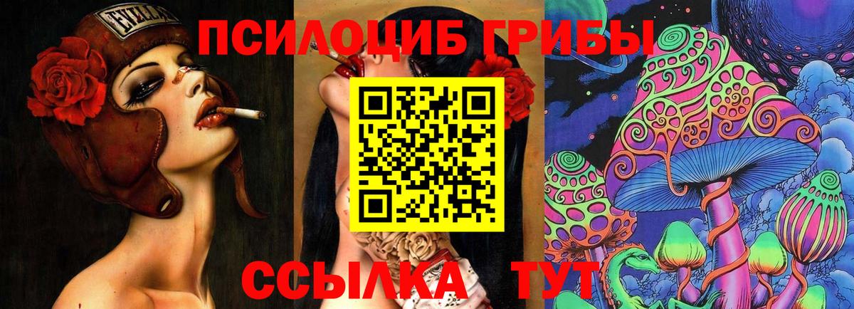 Галлюциногенные грибы ЛСД  Псилоцибиновые грибы прущие грибы  Вход с VPN  Чистополь 