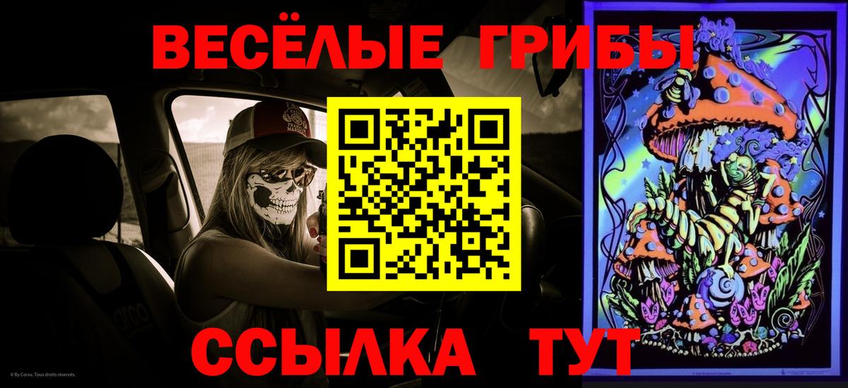 Галлюциногенные грибы мицелий Чистополь